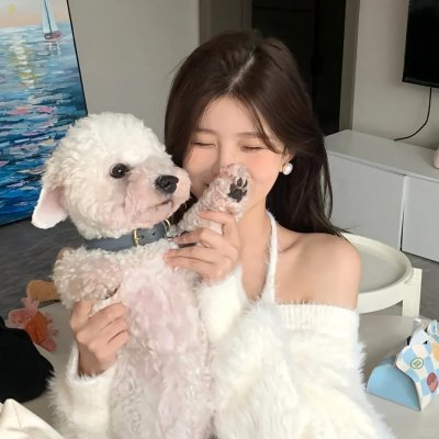 森林中的日与夜